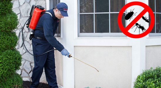 Aybastı Karınca İlaçlama böcek ilaçlama ve haşere kontrolü — ilaclama-tr.com
